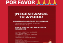 Pelotazo en el Harp Helú deja grave a niño de 9 años.