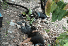 Dos hombres ejecutados con mensaje de amenaza.