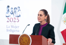 Sheinbaum se deslinda del caso Chávez Jr.: “Es asunto de la Fiscalía”