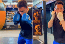 Chávez Jr. Regresa al Ring tras Libertad Condicional.