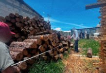 Profepa clausura carpinterías en Chiapas por operar ilegalmente.