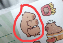 Cuidado con los capibara: material escolar sensible.