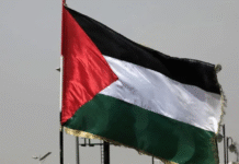 Bélgica reconoce a Palestina por Gaza.