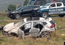 Accidente en la México-Pachuca: muere colaborador de Semarnat y tres más resultan lesionados.