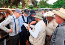 Profepa toma el control: 17 predios clausurados en la Península.