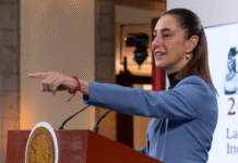 Sheinbaum aplaude al FMI tras elevar crecimiento de México: “Se los dije, somos optimistas”