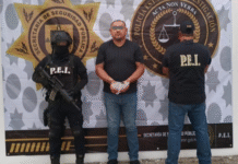 Detenido “Papá Oso”: Tabasqueño Presunto Agresor en Mérida.