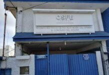 OSFE renueva equipo y busca transparencia tras denuncias.