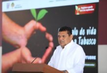 Convocan a Jornada de Reforestación 2025 en Tabasco.