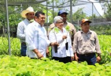 Jornada de Reforestación en Tabasco llegó para quedarse.