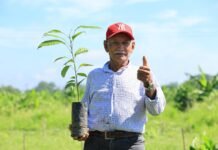 Las Lilias: cuatro décadas sembrando vida y esperanza forestal en Tabasco.