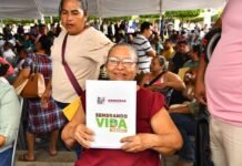 Tabasco alcanza 20 mil sembradores: la revolución verde de Javier May.