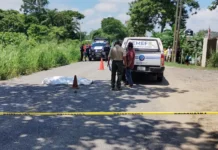 Caída fatal de camioneta deja un muerto.