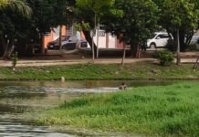 Hombre en situación de calle ingresa a Laguna El Jícaro, zona de cocodrilos.