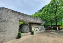 Renacer del Parque Museo La Venta: inversión histórica de 25 mdp para su rehabilitación.