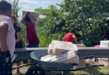 “Volcadura de tráiler en Cárdenas–Villahermosa termina en rapiña”