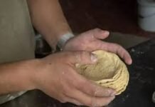 Tabasco implementa Mesa Estatal Maíz-Tortilla para reducir costo de la tortilla.