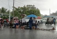 Delegados liberan La Isla-Reforma tras acuerdos con autoridades sobre fertilizantes y electricidad.