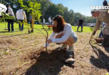 (VIDEO) Histórica jornada verde en Tabasco: 2.7 millones de árboles sembrados en un solo día.