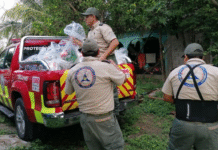 Tabasco refuerza ayuda humanitaria a Veracruz tras inundaciones.