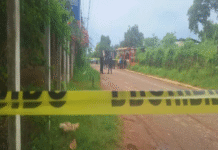 Ejecutan a dos personas en Macuspana, tres días después de otra balacera mortal.