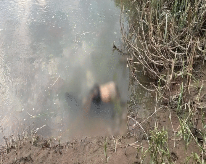 Captura de pantalla 2025-10-15 a la(s) 10.54.10 p.m.