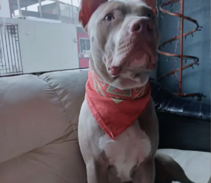 Captura de pantalla 2025-10-15 a la(s) 11.41.13 p.m.