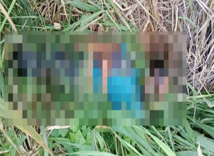 Captura de pantalla 2025-10-26 a la(s) 11.12.23 p.m.