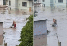Doña Elodia’ pierde la vida tras inundaciones en Poza Rica.
