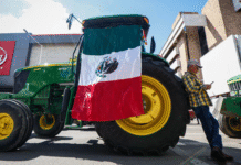 Agricultores mexicanos realizan paro nacional para exigir precio justo del maíz y apoyos al campo.
