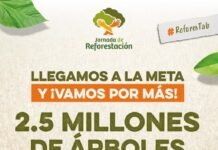 Tabasco supera meta en la Jornada de Reforestación: más de 2.4 millones de plantas solicitadas.