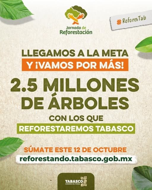 WhatsApp Image 2025-10-08 at 1.57.57 PM