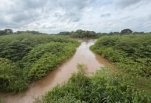 Gobierno de Tabasco refuerza vigilancia por lluvias y apoyo a familias afectadas.