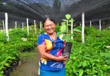 (VIDEO)Sembrando Vida fortalece empleo, reforestación y tejido social en Tenosique.