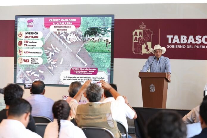 WhatsApp Image 2025-10-27 at 12.21.59 PM