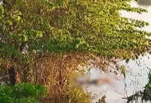 Macabro hallazgo en el río Usumacinta; localizan cuerpo putrefacto en Tenosique.