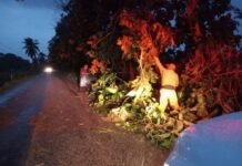 “Frente Frío 13 sacude Tabasco, pero sin tragedia”