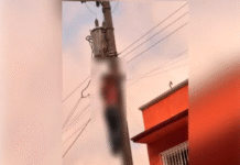 Fatal descarga eléctrica apaga la vida de un trabajador.