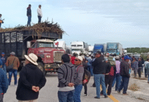 Cañeros Paralizan Carretera Exigiendo Rescate Inmediato.