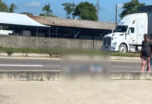 Muere motociclista tras brutal impacto en vía estatal.