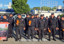 Seguridad estatal refuerza acciones clave para proteger a mujeres tabasqueñas.