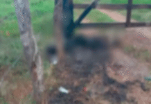 Hallan cuerpo calcinado en carretera de Jalapa.