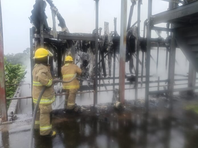 WhatsApp Image 2025-11-04 at 4.59.48 PM