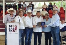 “Tabasco renace como potencia ganadera bajo el liderazgo de Javier May”