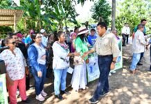 Sheinbaum Respaldará Con Fuerza Al Cacao Tabasqueño Desde Territorio.