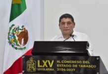Tadeo Lazcano presume golpes fuertes a delincuencia.