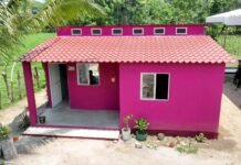 Javier May presume bienestar y obra pública sin moches en Tabasco.