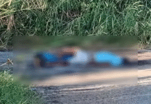 Pareja de ejecutados aparece en carretera.