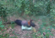 Hallan cuerpo con señales de tortura en Huimanguillo.