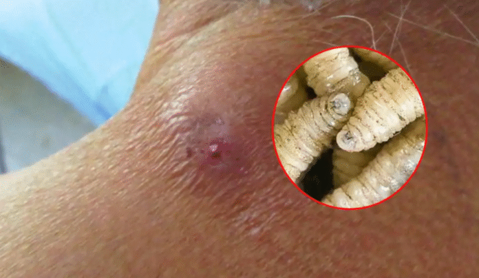 Captura de pantalla 2025-12-08 a la(s) 12.00.55 a.m.